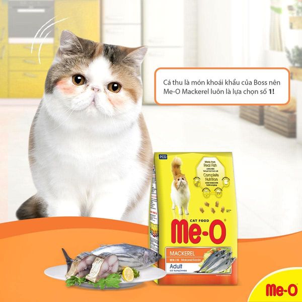 Moon Pet Shop – MÈO BỊ BIẾNG ĂN- NÊN LÀM GÌ?