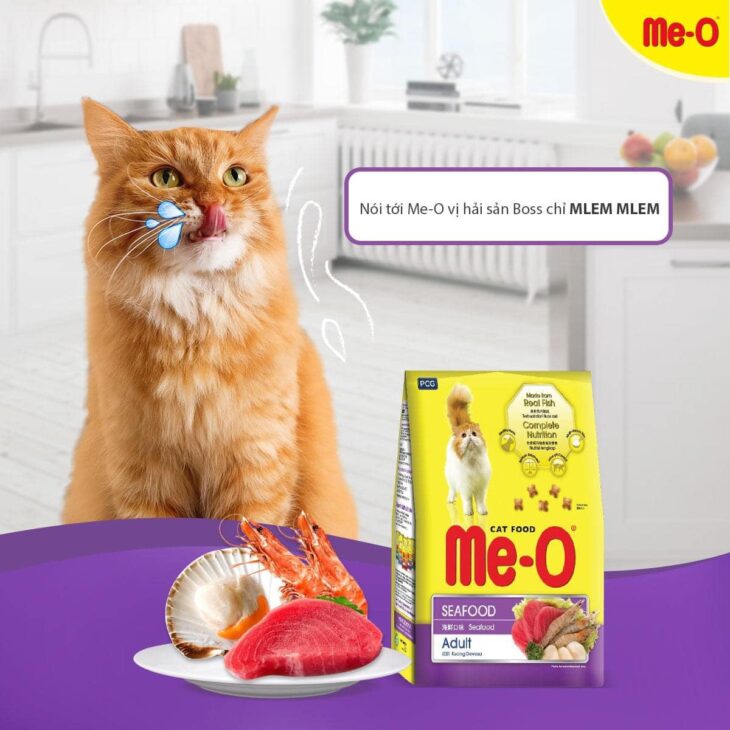 Moon Pet Shop – MÈO BỊ BIẾNG ĂN- NÊN LÀM GÌ?