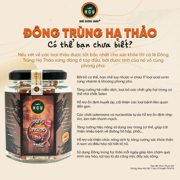 ĐÔNG TRÙNG HẠ THẢO: HỖ TRỢ PHÒNG NGỪA VÀ ĐIỀU TRỊ UNG THƯ, ĐỂ CƠ THỂ TRÁNH XA CĂN BỆNH QUÁI ÁC