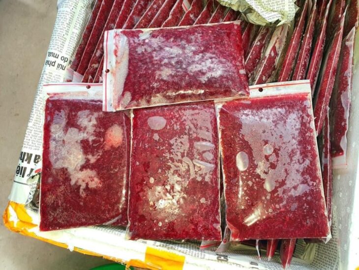Chuyên Tim bò kích màu , trùng huyết đông lạnh , cám thái…