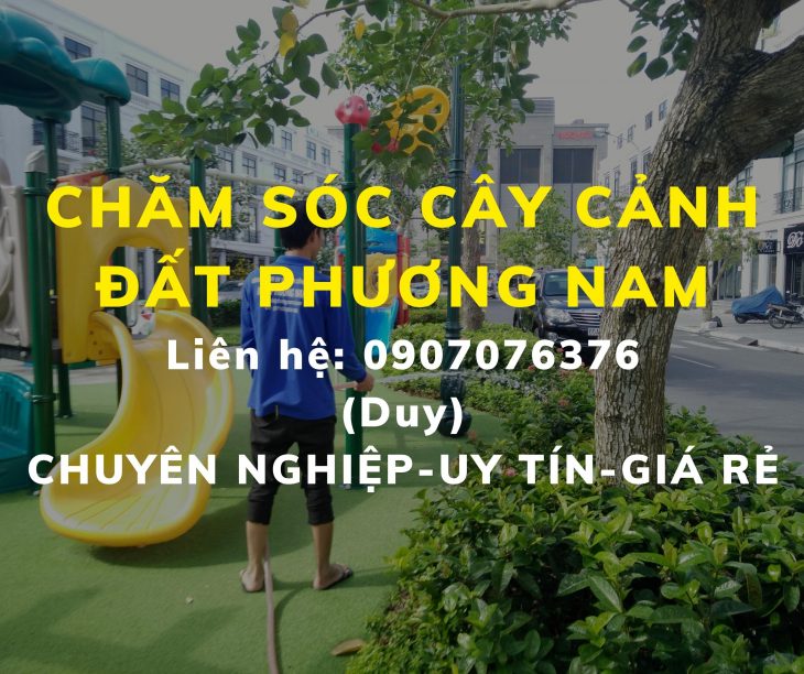 DỊCH VỤ CHĂM SÓC CÂY CẢNH GIÁ RẺ CẦN THƠ