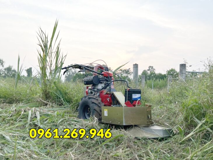 Máy cắt cỏ voi mâm xoay, dọn cỏ vườn cây trang trại Kawasaki BM91