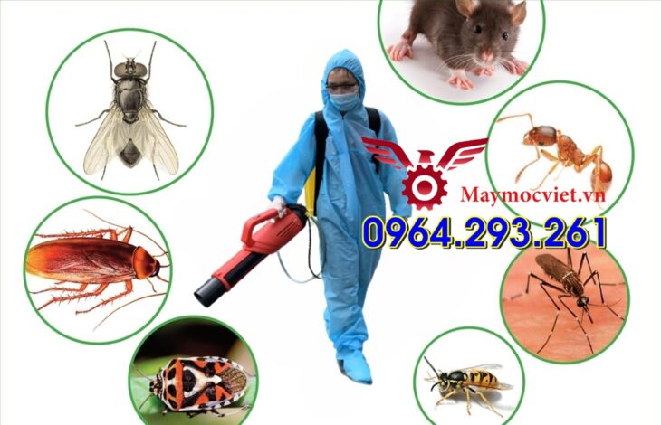 Cách tự phun thuốc muỗi tại nhà an toàn nhất