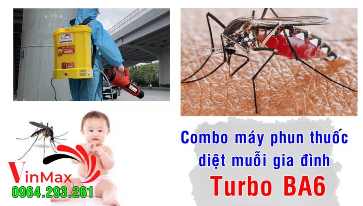 Cách tự phun thuốc muỗi tại nhà an toàn nhất