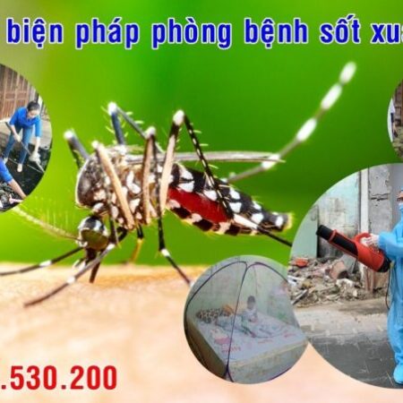 Cách phun muỗi hiệu quả mà ít người biết