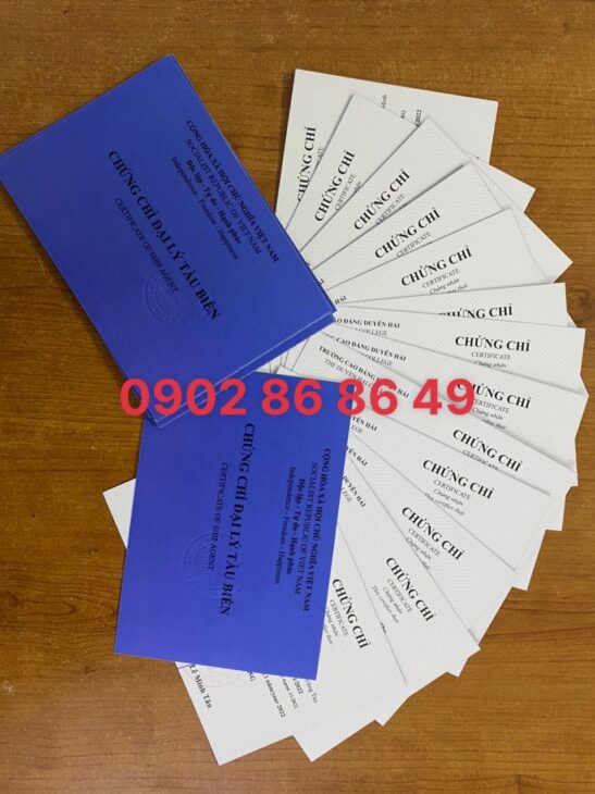 ĐÀO TẠO CHỨNG CHỈ ĐẠI LÝ TÀU BIỂN (bắt buộc để làm việc trong ngành đại lý tàu biển)