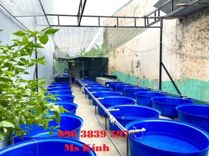 Thùng nhựa tròn nuôi cá, trồng cây, làm bể bơi, đựng hóa chất – 096 3839 597 Ms Kính