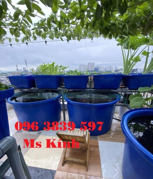 Thùng nhựa tròn nuôi cá, trồng cây, làm bể bơi, đựng hóa chất – 096 3839 597 Ms Kính