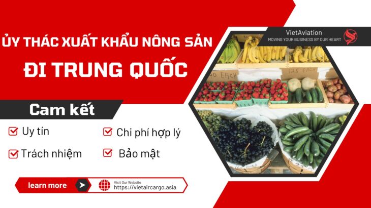 ỦY THÁC XUẤT KHẨU NÔNG SẢN ĐI TRUNG QUỐC