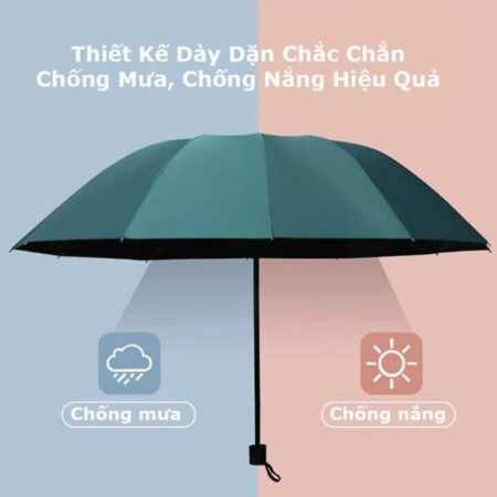 DÙ/ Ô CHỐNG TIA UV