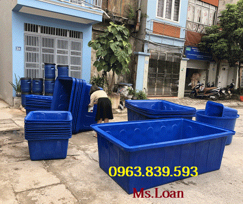 Thùng chữ nhật nuôi cá dung tích 1700L giá tốt / Lh 0963 839 593 Ms.Loan