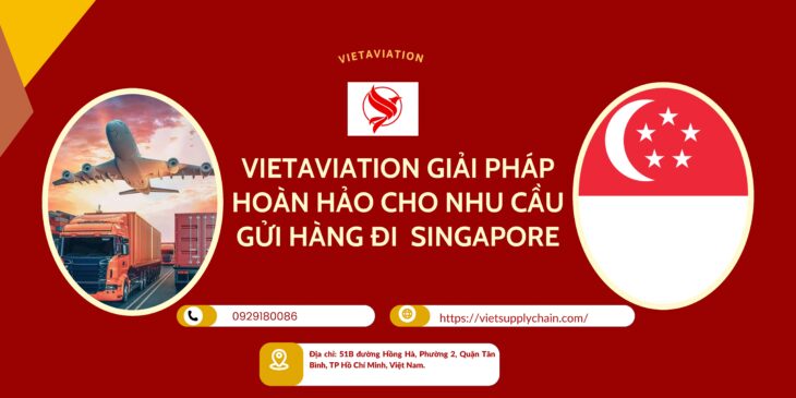 VIETAVIATION GIẢI PHÁP HOÀN HẢO CHO NHU CẦU GỬI HÀNG ĐI SINGAPORE