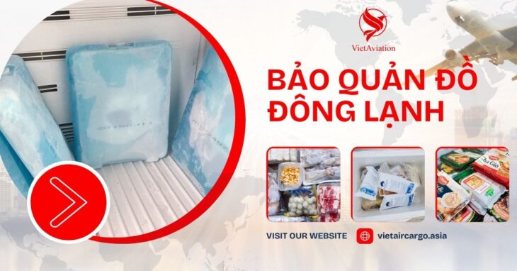 Bảo quản hàng đông lạnh như thế nào?