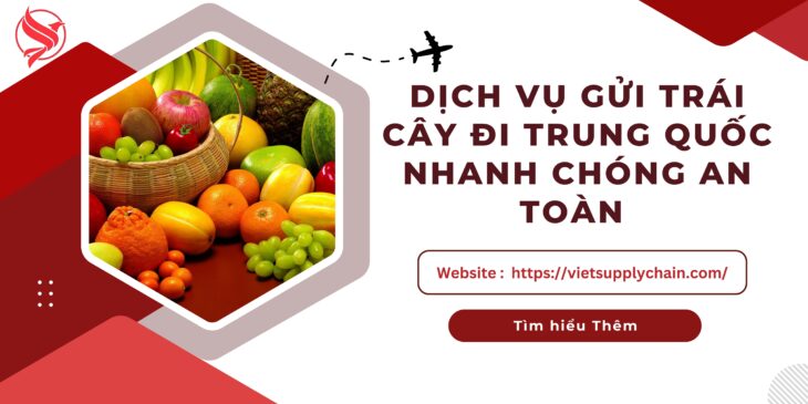 DỊCH VỤ GỬI TRÁI CÂY ĐI TRUNG QUỐC NHANH CHÓNG AN TOÀN