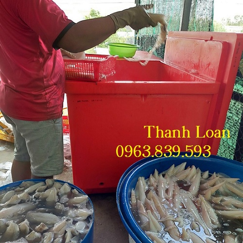 Thùng đá mỏ neo 450L giữ lạnh thủy hải sản, giá thùng đá thái lan 450L / 0963 839 593 Ms.Loan