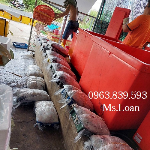 Phân phối thùng đá trữ lạnh nhập khẩu thái lan giá tốt tại HCM / 0963 839 593 Ms.Loan