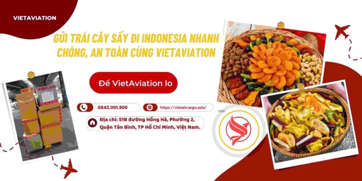 Gửi Trái Cây Sấy Đi Indonesia Nhanh Chóng, An Toàn Cùng VietAviation
