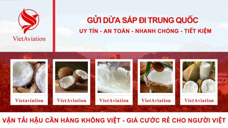 Gửi Dừa Sáp Đi Trung Quốc Nhanh Chóng An Toàn Tiết Kiệm