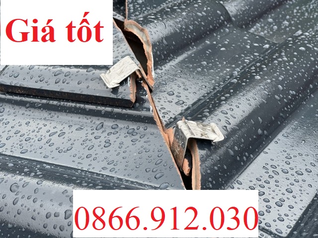 Kẹp ngói lợp tráng men inox 201 và 304