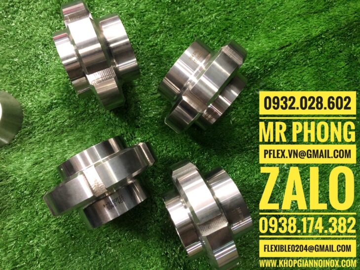 rắc co vi sinh inox 304,khớp nối rắc co inox vi sinh,co hàn vi sinh inox,bầu giãm hàn inox vi sinh