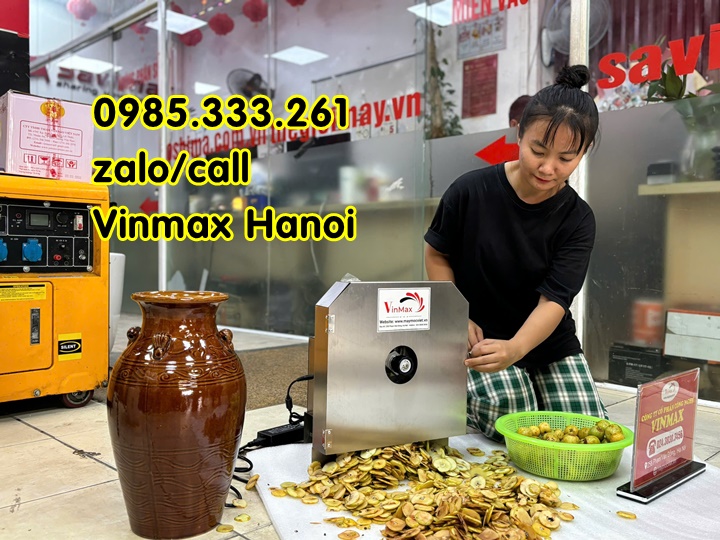 Máy thái táo mèo năng suất cao Vinmax VMM115