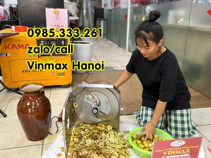 Máy thái táo mèo năng suất cao Vinmax VMM115