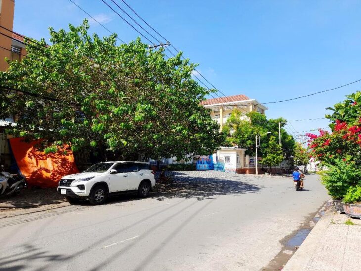 Mặt tiền Mai Hắc Đế 10×12 123.6m2 4 tầng P15 Q8 chỉ 14 tỷ 6