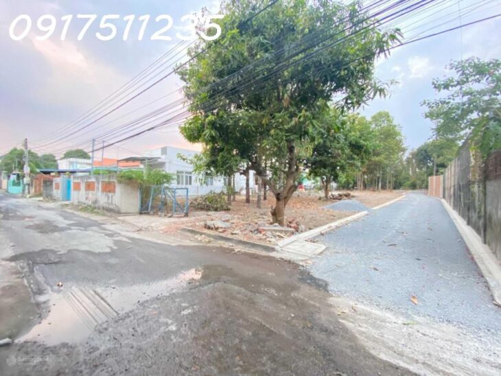 Bán 14 lô đất MT hẻm 77 Hiệp Hòa đối diện chợ Hiệp Hòa, ngang 4x16m sổ riêng thổ cư 100% lh