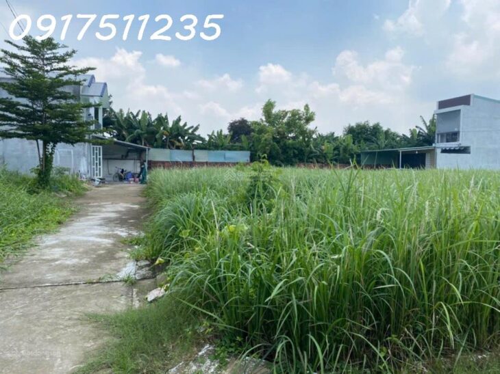 Bán đất thổ cư Hiệp Hoà hẻm xe hơi lắc đầu 66m2 giá chỉ hơn 1 tỷ. lh 0917511235