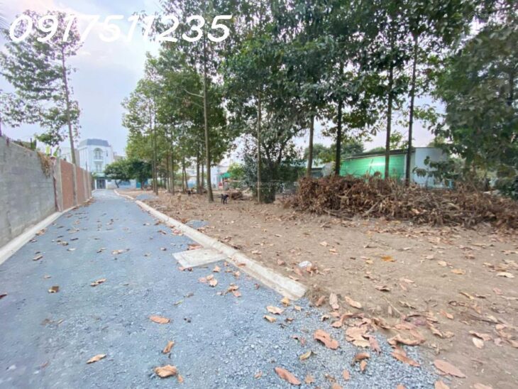Bán 14 lô đất MT hẻm 77 Hiệp Hòa đối diện chợ Hiệp Hòa, ngang 4x16m sổ riêng thổ cư 100% lh