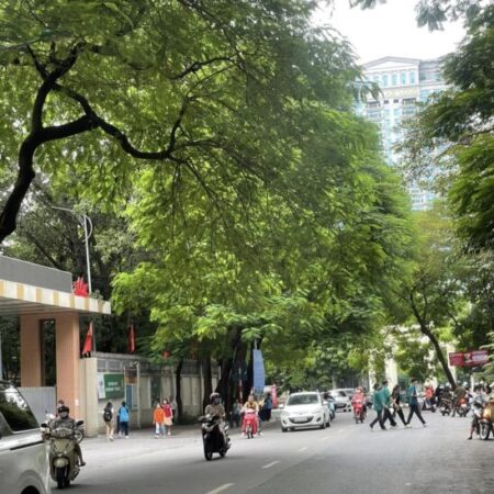 ???? MẶT PHỐ TÔ HIỆU TO, CẦU GIẤY 150M2 2T MT 7M, GIÁ ĐẦU TƯ CHỈ 52.5 TỶ????