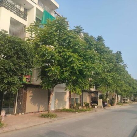 BIỆT THỰ VIP – HIẾM CÓ KHÓ TÌM – VIEW CÔNG VIÊN ĐẲNG CẤP