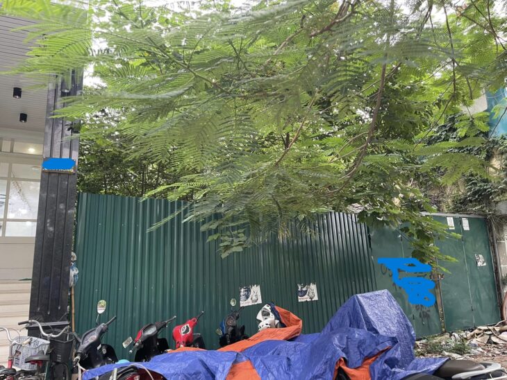 ⚜️ Đất vàng Đường Giải Phóng, Hoàng Mai, Ngõ to như phố, Vỉa hè, 267m2 MT 10m, Chỉ 55 Tỷ ⚜️