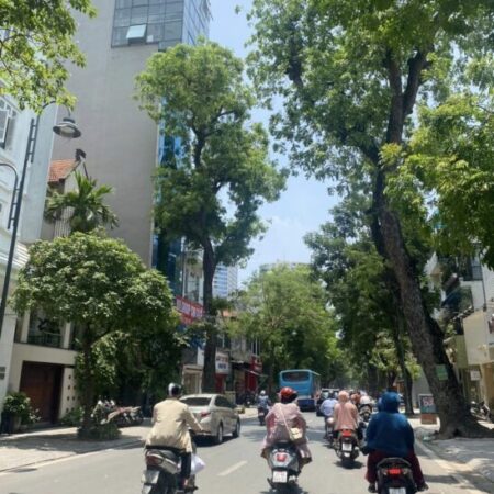 ⚜️ Bán Tòa Văn phòng Mặt Phố VIP Bà Triệu, 190m2 10T, MT 7m, Chỉ 179 Tỷ ⚜️