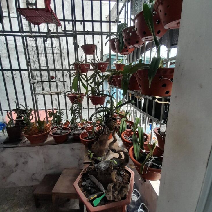 Cần bán nhà tại Khương Trung, Thanh Xuân, diện tích 30m2, 3 tầng, giá 3.5 tỷ, chính chủ, thuận lợi