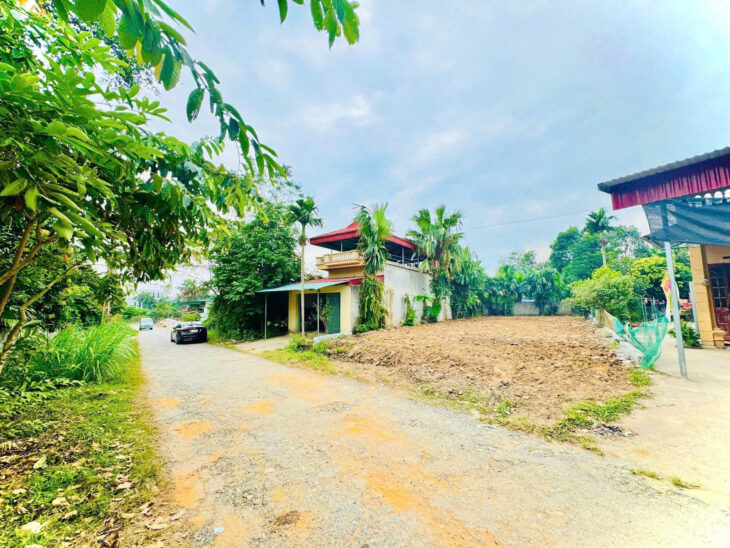 ĐẤT ĐẸP – GIÁ TỐT – Vị Trí Đắc Địa Tại Mặt đường nhựa Đa Nghệ – Thắng Sơn – Thanh Sơn -Phú Thọ