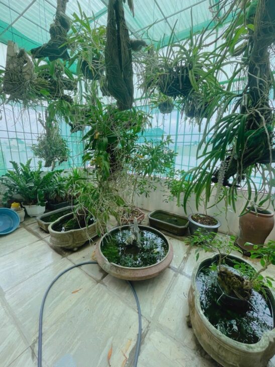 Siêu Hiếm Bán nhà Ngọc Thụy – Long Biên- Lô Góc ngõ rộng thoáng, bán kính 100m quanh nhà là trường