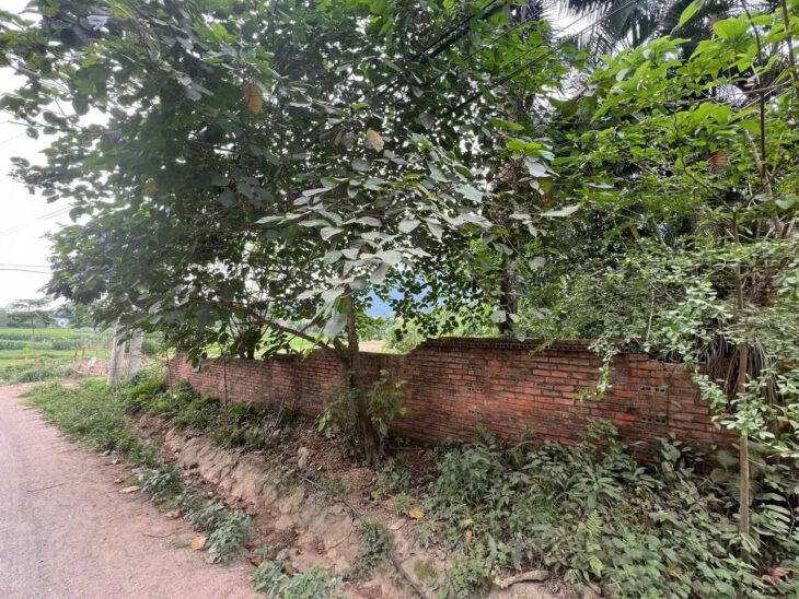 ĐẤT CHÍNH CHỦ – GIÁ TỐT – Vị Trí Đẹp Tại Thôn 1, Xã Yên Bình, Huyện Thạch Thất, Thành phố Hà Nội