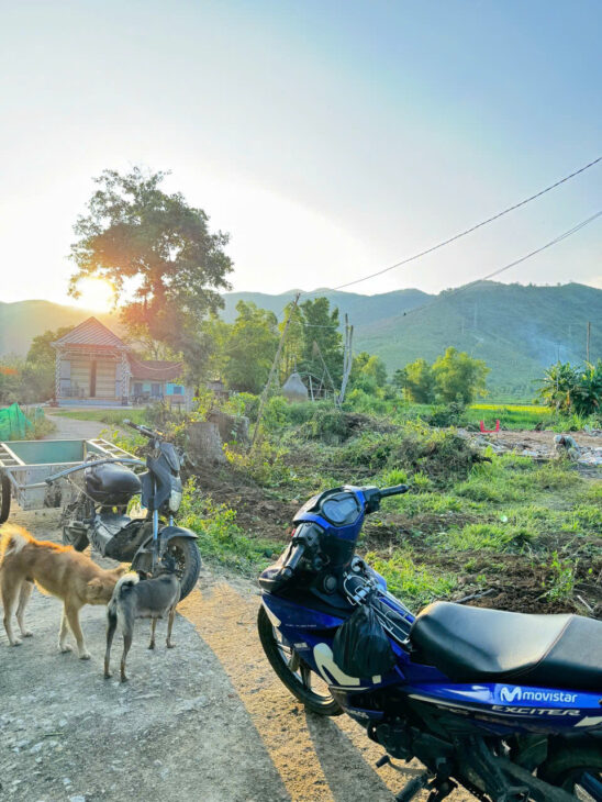 ĐẤT CHÍNH CHỦ – GIÁ TỐT – Vị Trí Đẹp Tại Thôn Hoà Nghĩa, Xã Mỹ Hiệp, Huyện Phù Mỹ, Tỉnh Bình Định
