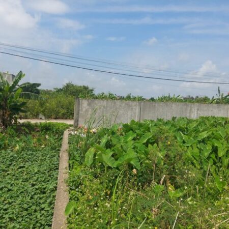 BÁN LÔ ĐẤT PHƯỜNG HOÀNG DIỆU, TIỀM NĂNG SINH LỜI CAO DIỆN TÍCH KHỦNG