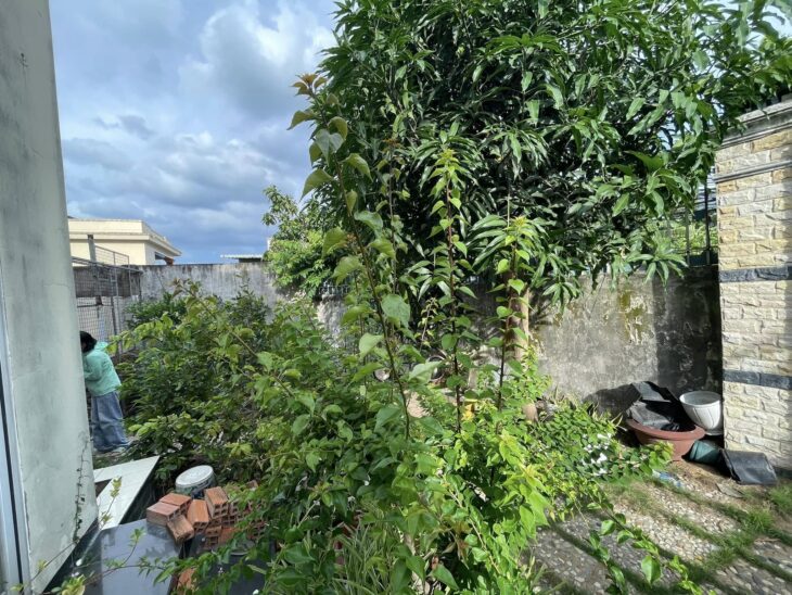 Nhà bán sân vườn, dt 445m², 4PN, 2WC, Bến Lức, Long An – 4 tỷ55