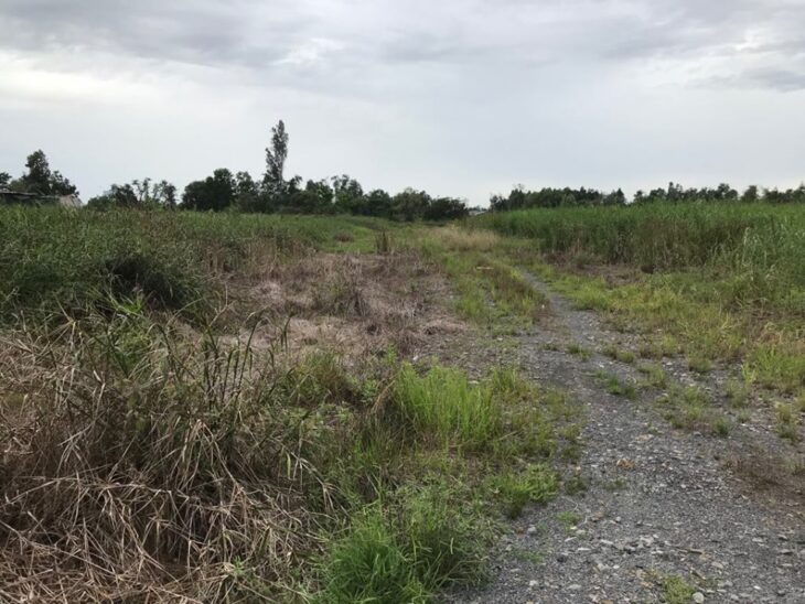 Bán đất An Hạ, xã Phạm Văn Hai, Bình Chánh 50m2, giá 450tr