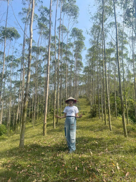 HOT ĐẤT ĐẸP – GIÁ TỐT – Vị Trí ĐẮC ĐỊA Tại Khu Chủng, Xã Tân Lập, Huyện Thanh Sơn, Huyện Phú Thọ