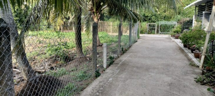 Đất thổ cư An Sơn 32 – 500m², vị trí tiềm năng gần Vành Đai 3