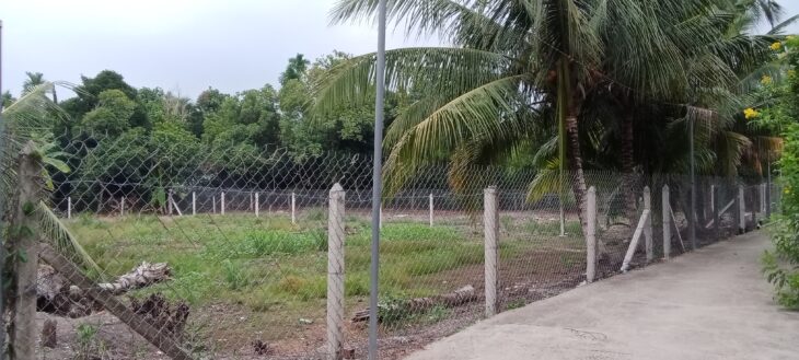 Đất thổ cư An Sơn 32 – 500m², vị trí tiềm năng gần Vành Đai 3