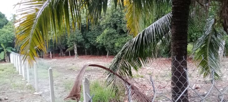 Đất thổ cư An Sơn 32 – 500m², vị trí tiềm năng gần Vành Đai 3