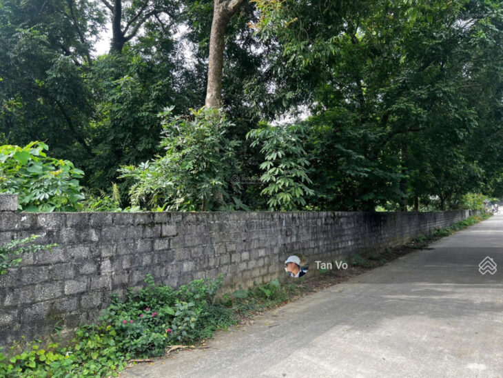 Thanh lý lô đất Cao Dương 1100m2 giá 2tr/m2, mặt tiền 20m, đường vào 2 oto. Thông tin trong bài
