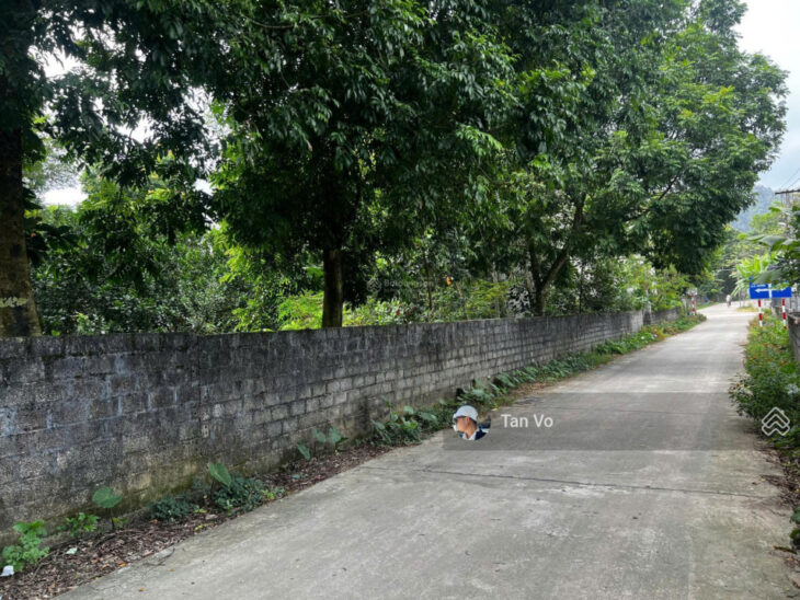 Thanh lý lô đất Cao Dương 1100m2 giá 2tr/m2, mặt tiền 20m, đường vào 2 oto. Thông tin trong bài