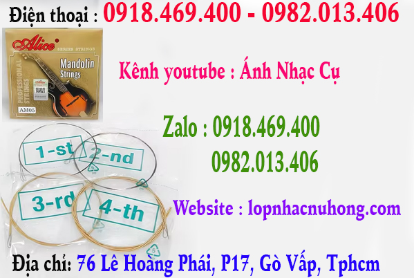 Địa chỉ thay dây đàn mandolin tại quận gò vấp, tphcm, sài gòn