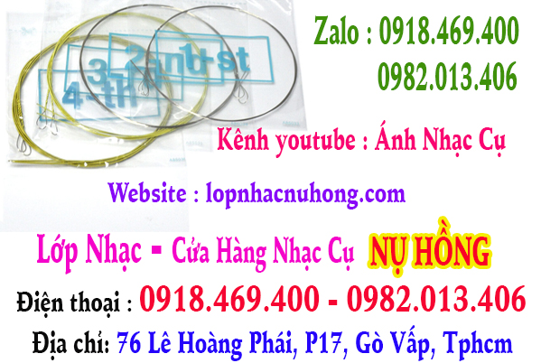 Địa chỉ thay dây đàn mandolin tại quận gò vấp, tphcm, sài gòn